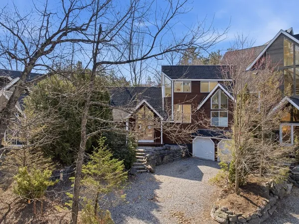 a view of a bunch of flowers