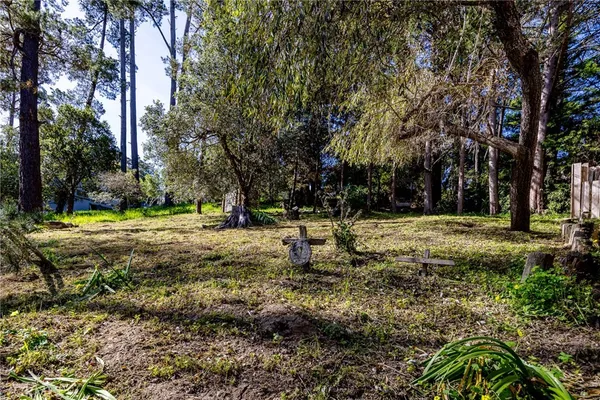 a view of outdoor space with trees