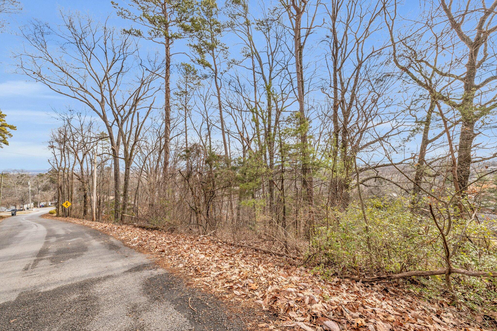 225 Longview Drive Rossville, GA 30741 - Photo 20 of 40 10-web-or-mls-225-longview-dr