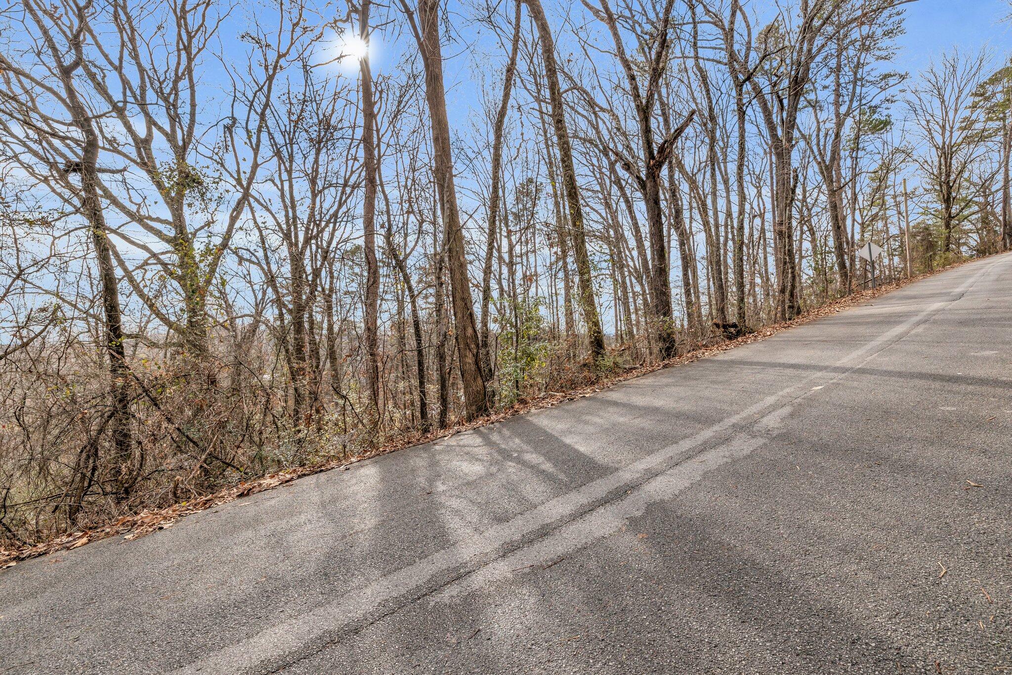 225 Longview Drive Rossville, GA 30741 - Photo 21 of 40 9-web-or-mls-225-longview-dr