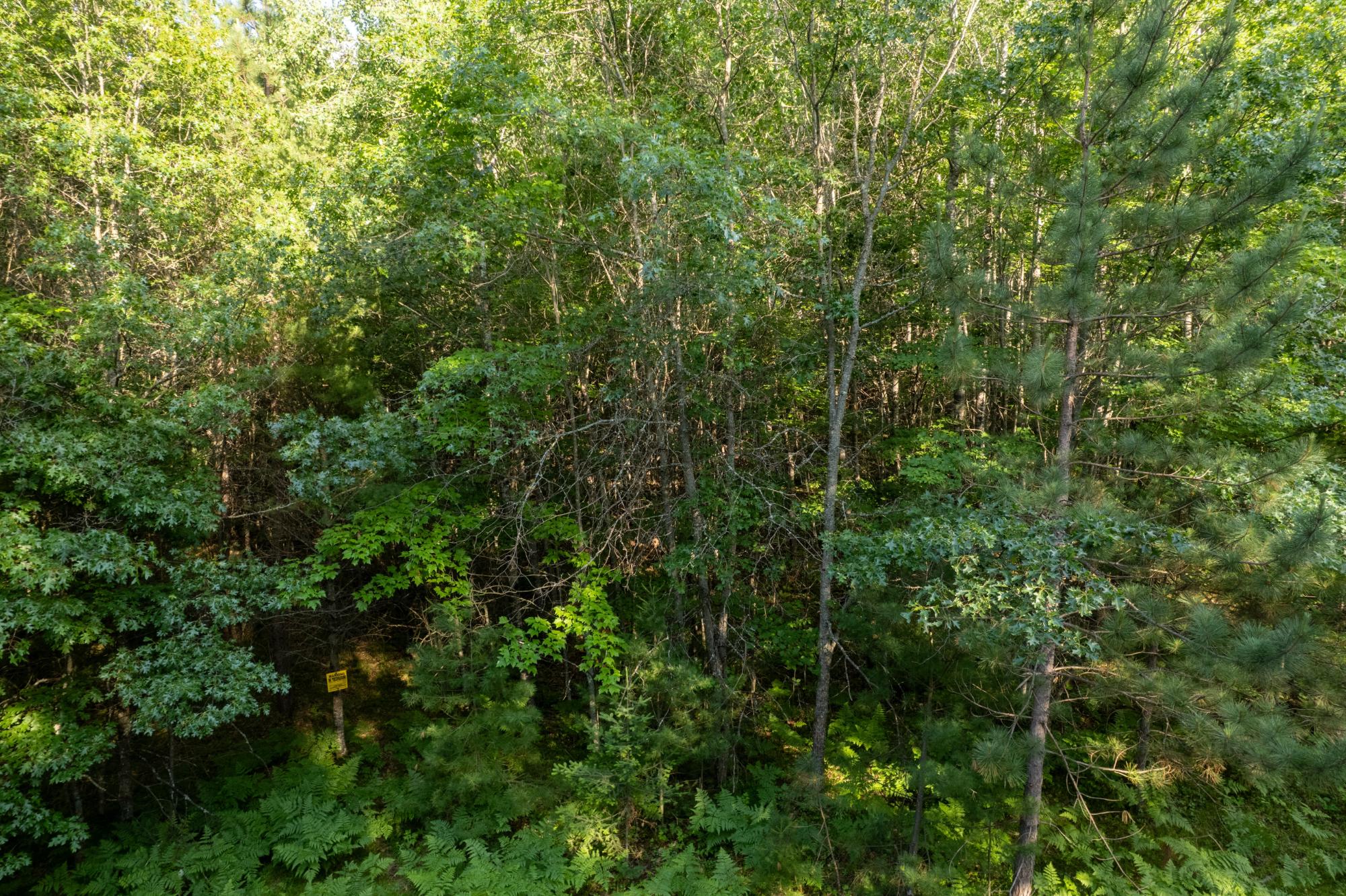 Lot 3 Dad's Lake Road Eagle River, WI 54521 - Photo 1 of 5 Gallery Image 1