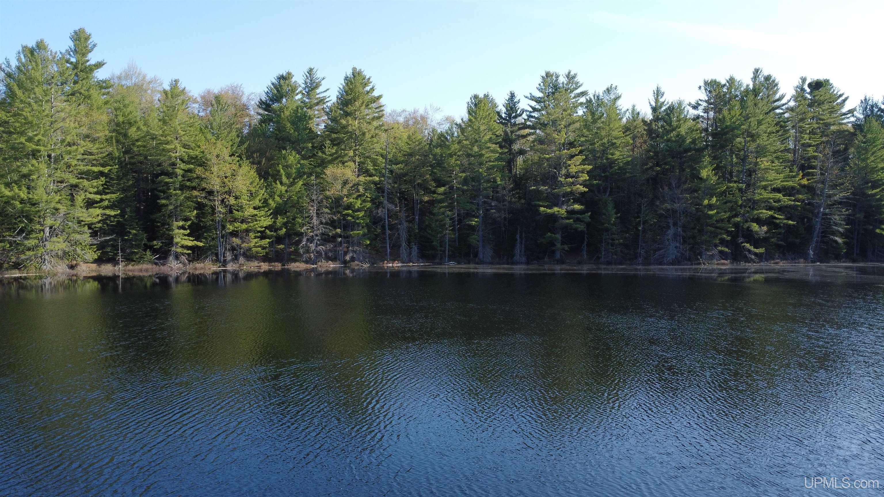 On Wolf Lake Road McMillan, MI 49853 - Photo 27 of 37