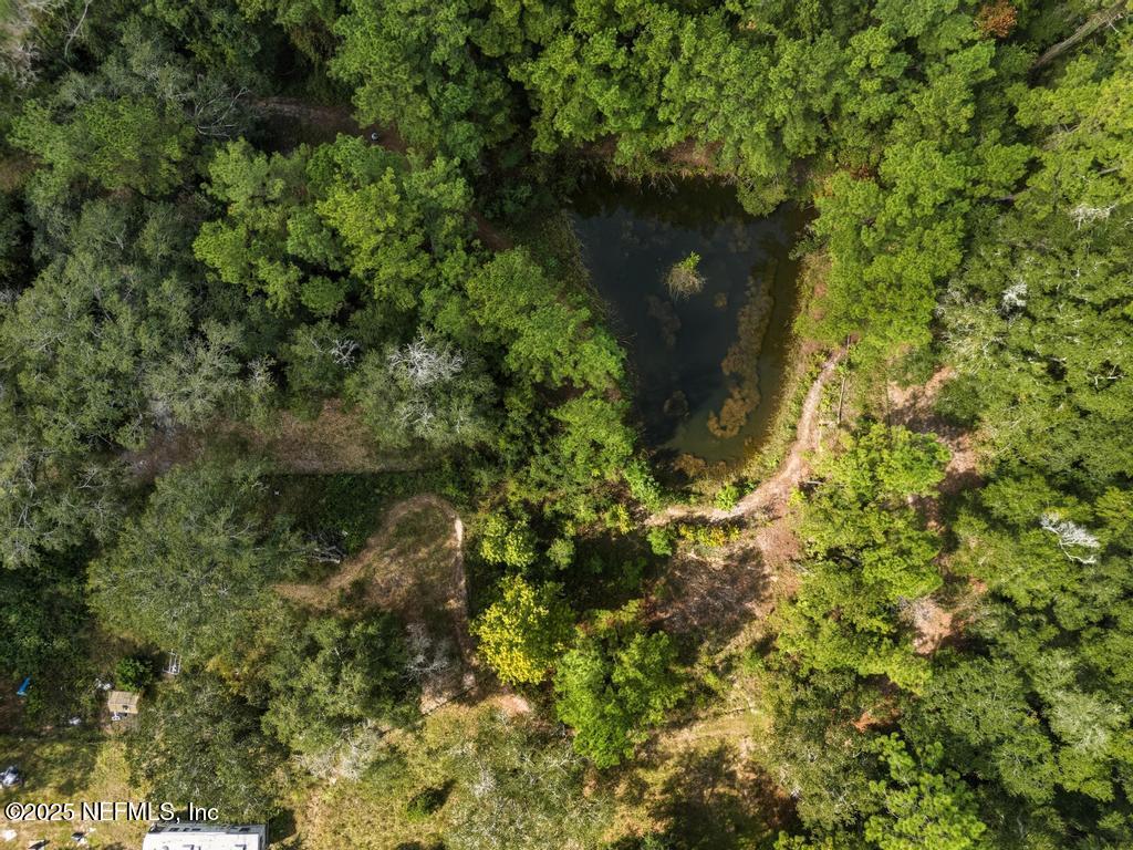 1886 Gentlebreeze Road Middleburg, FL 32068 - Photo 6 of 15 a view of a garden with a tree