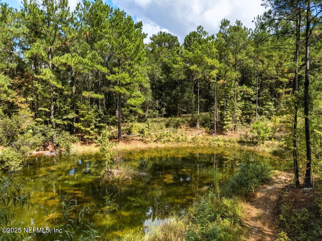 1886 Gentlebreeze Road Middleburg, FL 32068 - Photo 7 of 15 a view of outdoor space and trees