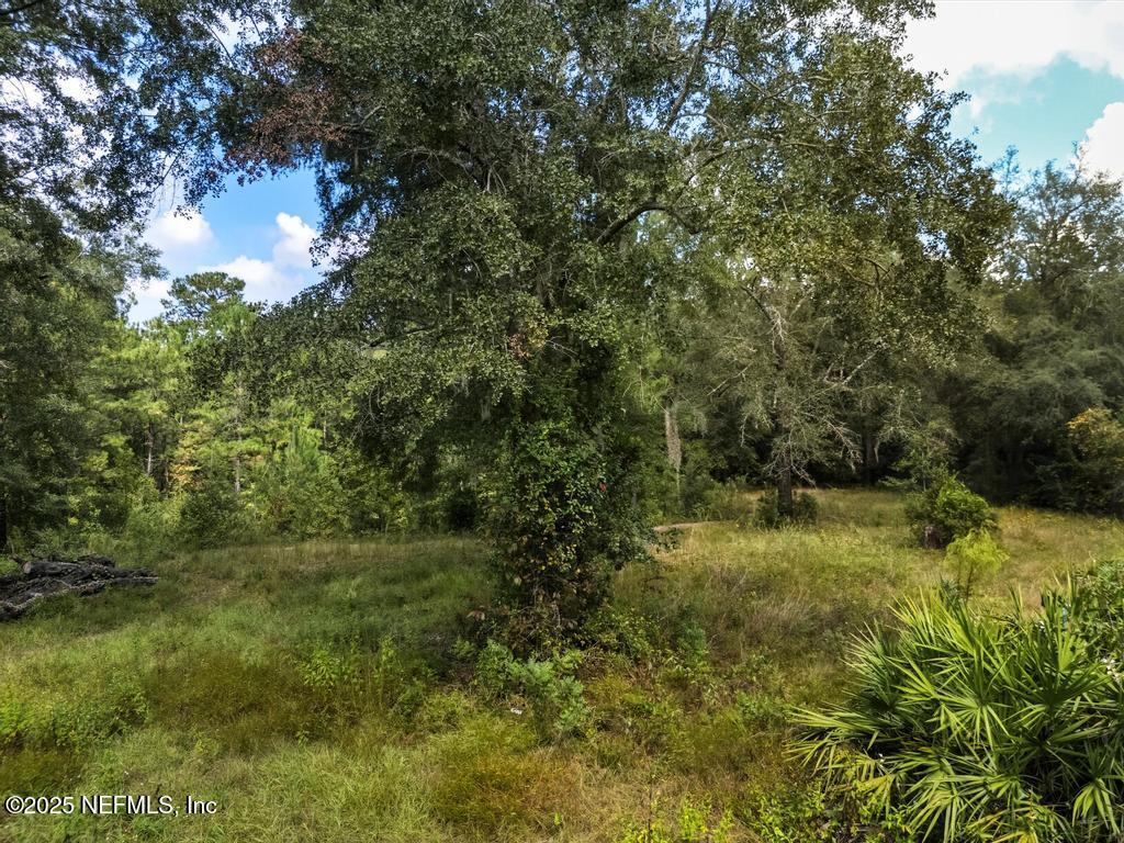1886 Gentlebreeze Road Middleburg, FL 32068 - Photo 9 of 15 a view of a lush green space