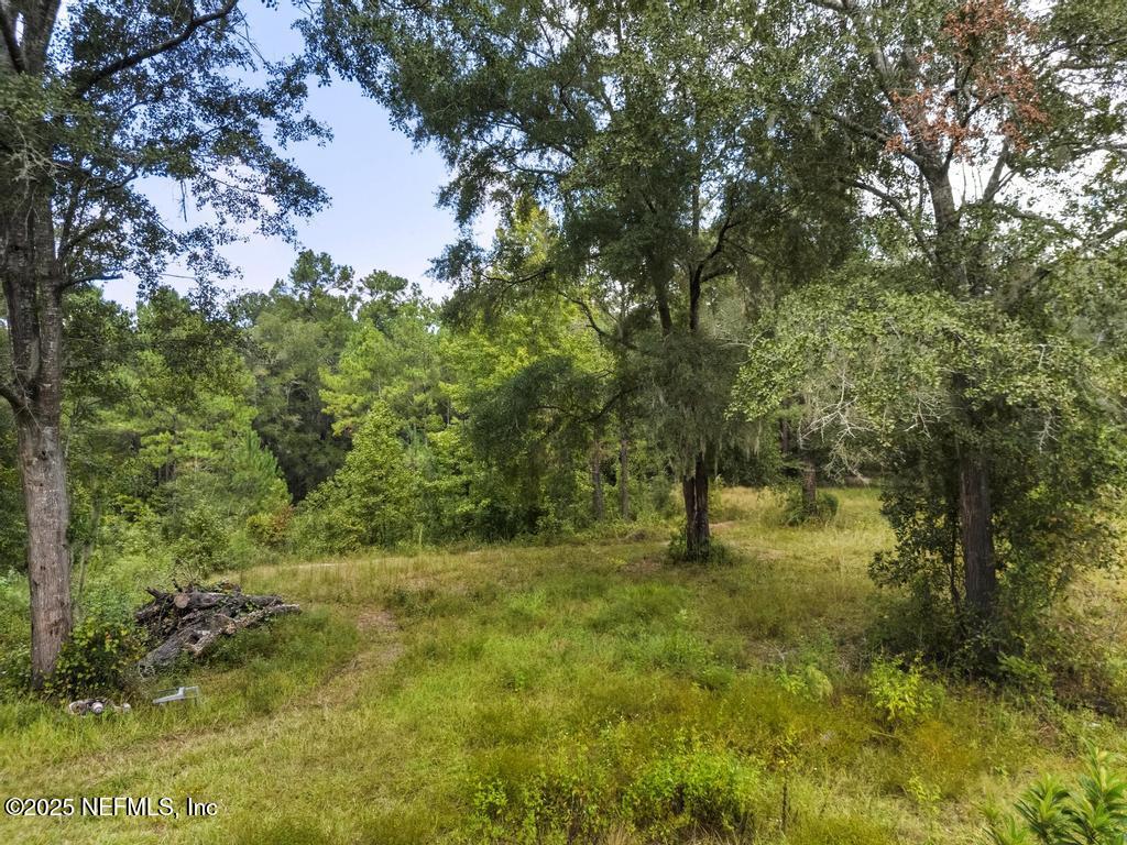 1886 Gentlebreeze Road Middleburg, FL 32068 - Photo 10 of 15 a big yard with lots of green space and trees all around