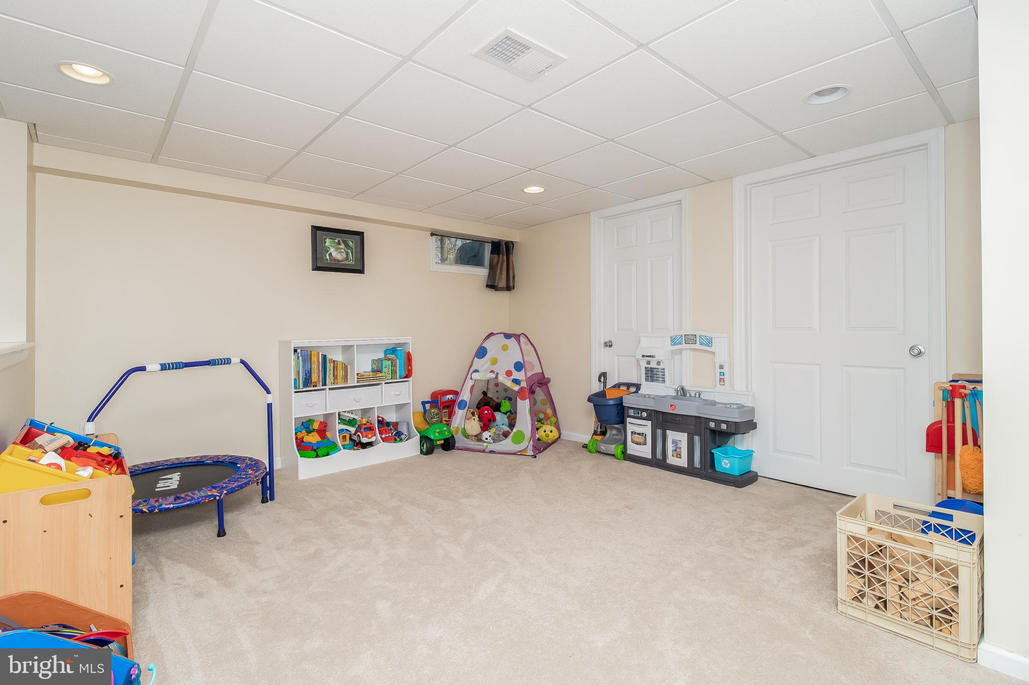 12 Shevchenko Avenue Cream Ridge, NJ 08514 - Photo 23 of 25 Finished Basement