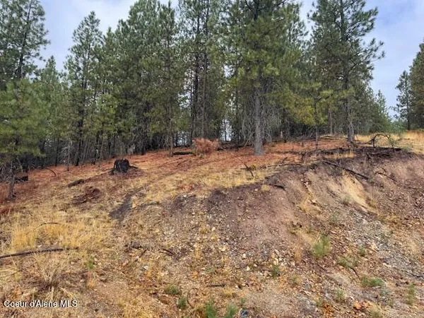 $135,000 | Nka Nka Parcel A, Pinehurst, ID 83850