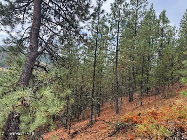 $135,000 | Nka Nka Parcel A, Pinehurst, ID 83850