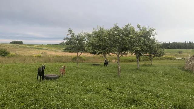 $139,000 | 710 Carson Road, Woodland, ME 04736