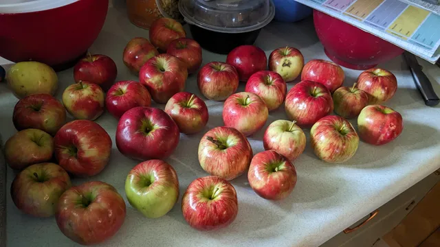 $139,000 | 710 Carson Road, Woodland, ME 04736