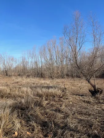 a view of backyard of house