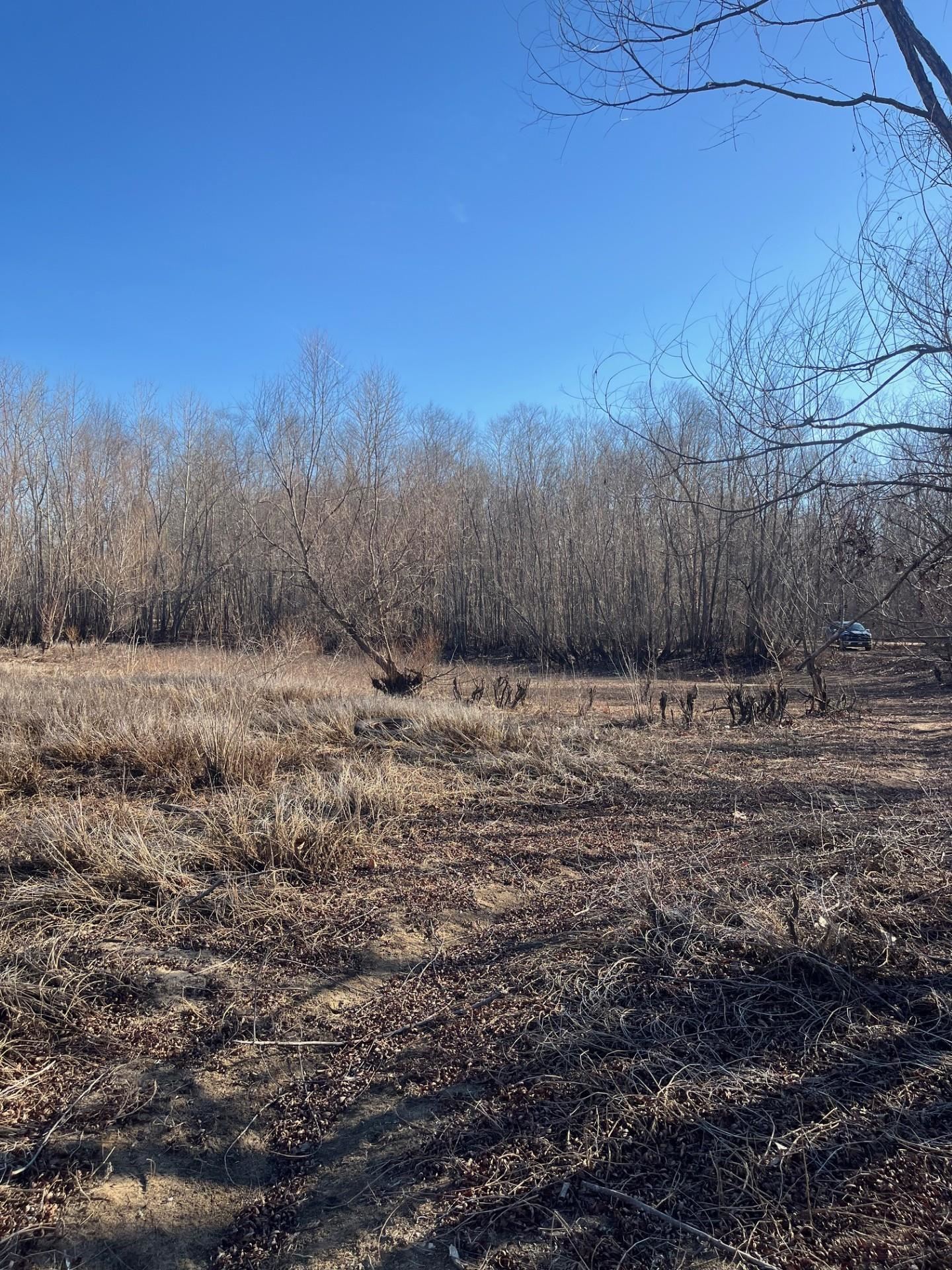 0 East Greene County Road North Paragould, AR 72450 - Photo 4 of 4 a view of wooden fence