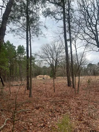 a view of outdoor space with trees