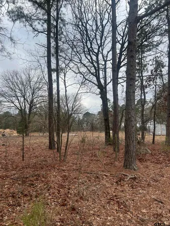 a view of backyard of a house