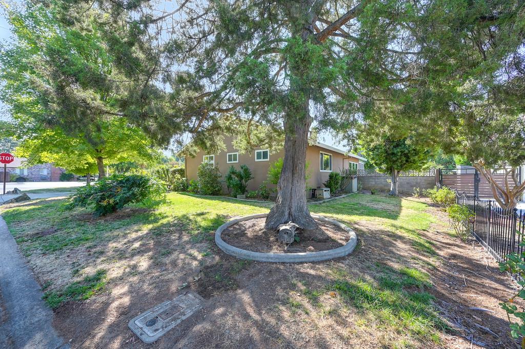 1056 Entrada Road Sacramento, CA 95864 - Photo 5 of 57 a view of a fountain in a yard with palm tree