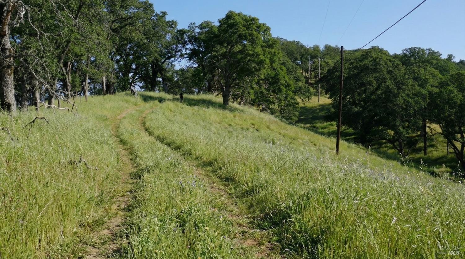 20 Longhorn Ridge Road Napa, CA 94558 - Photo 3 of 4