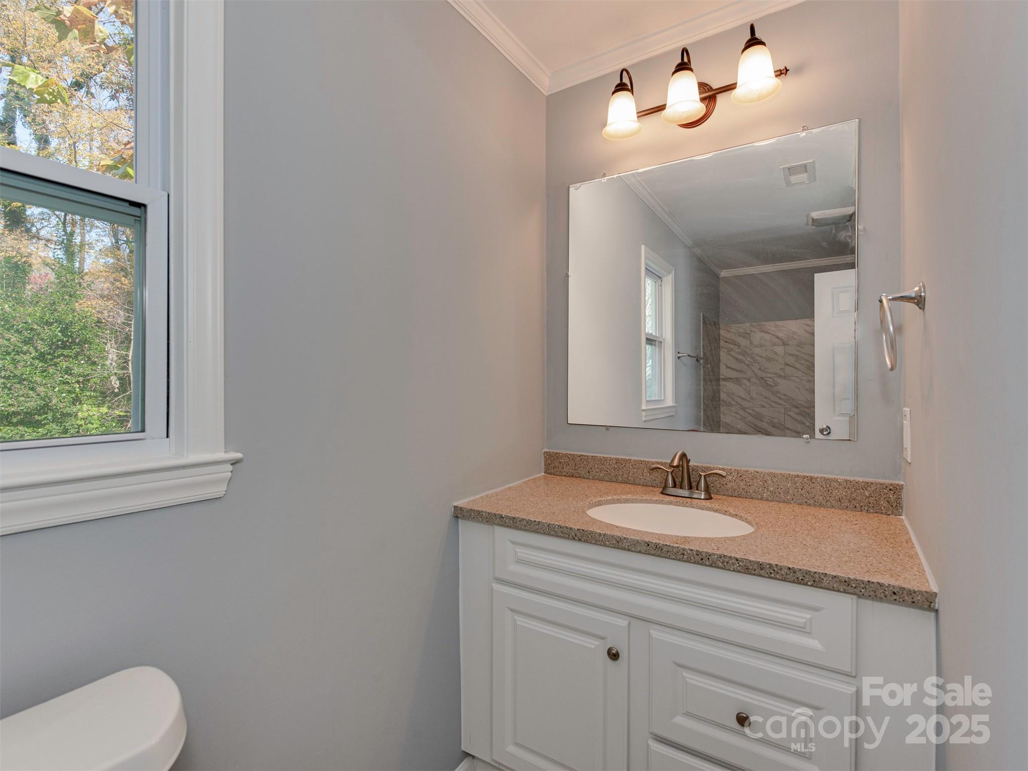 7413 Lockmont Drive Charlotte, NC 28212 - Photo 25 of 42 a bathroom with a sink vanity and a mirror