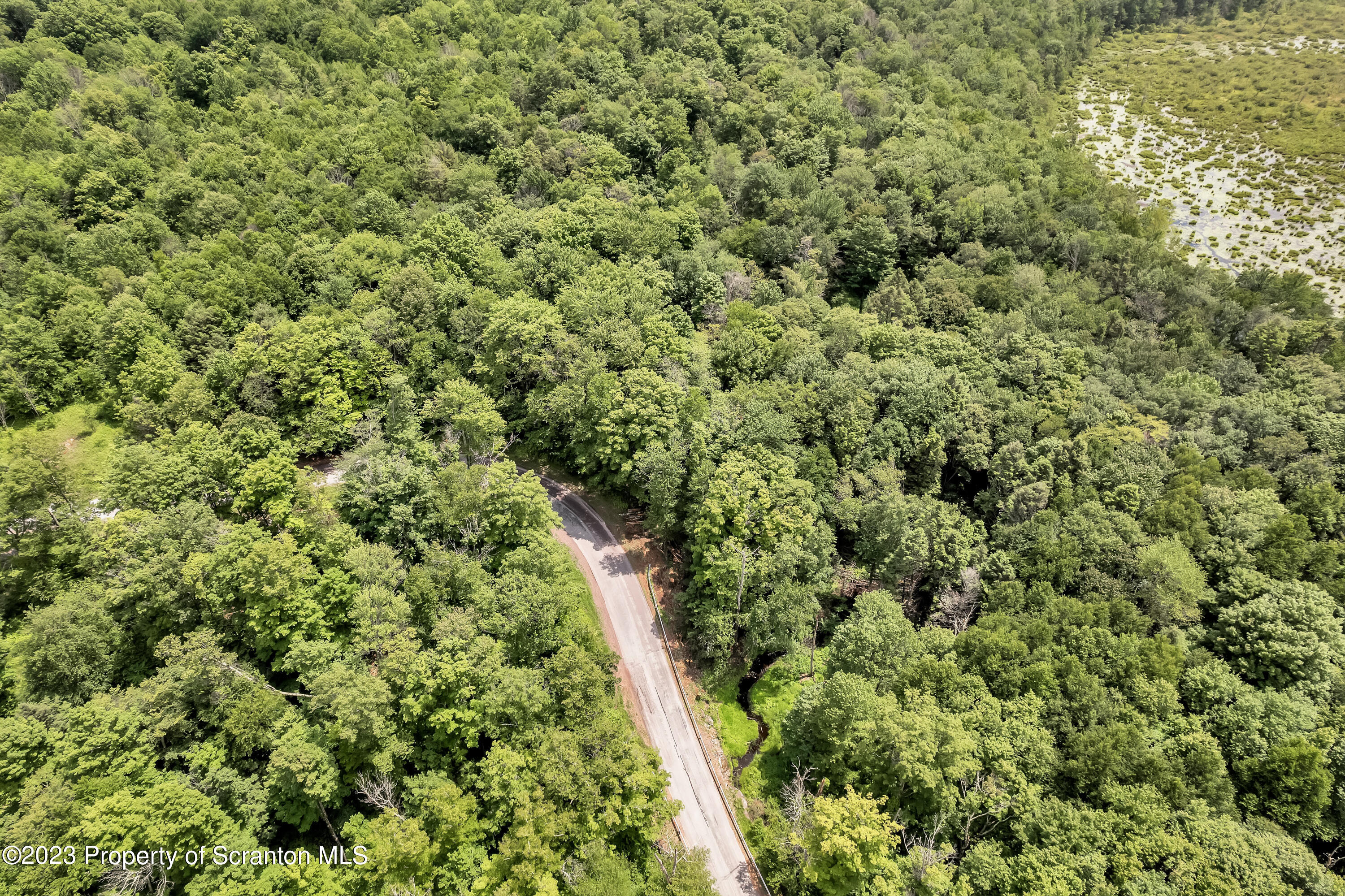 0 Wallace Road Lake Ariel, PA 18436 - Photo 11 of 26 a view of a forest with a tree
