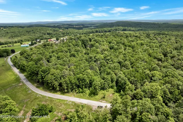 a view of yard with ocean view