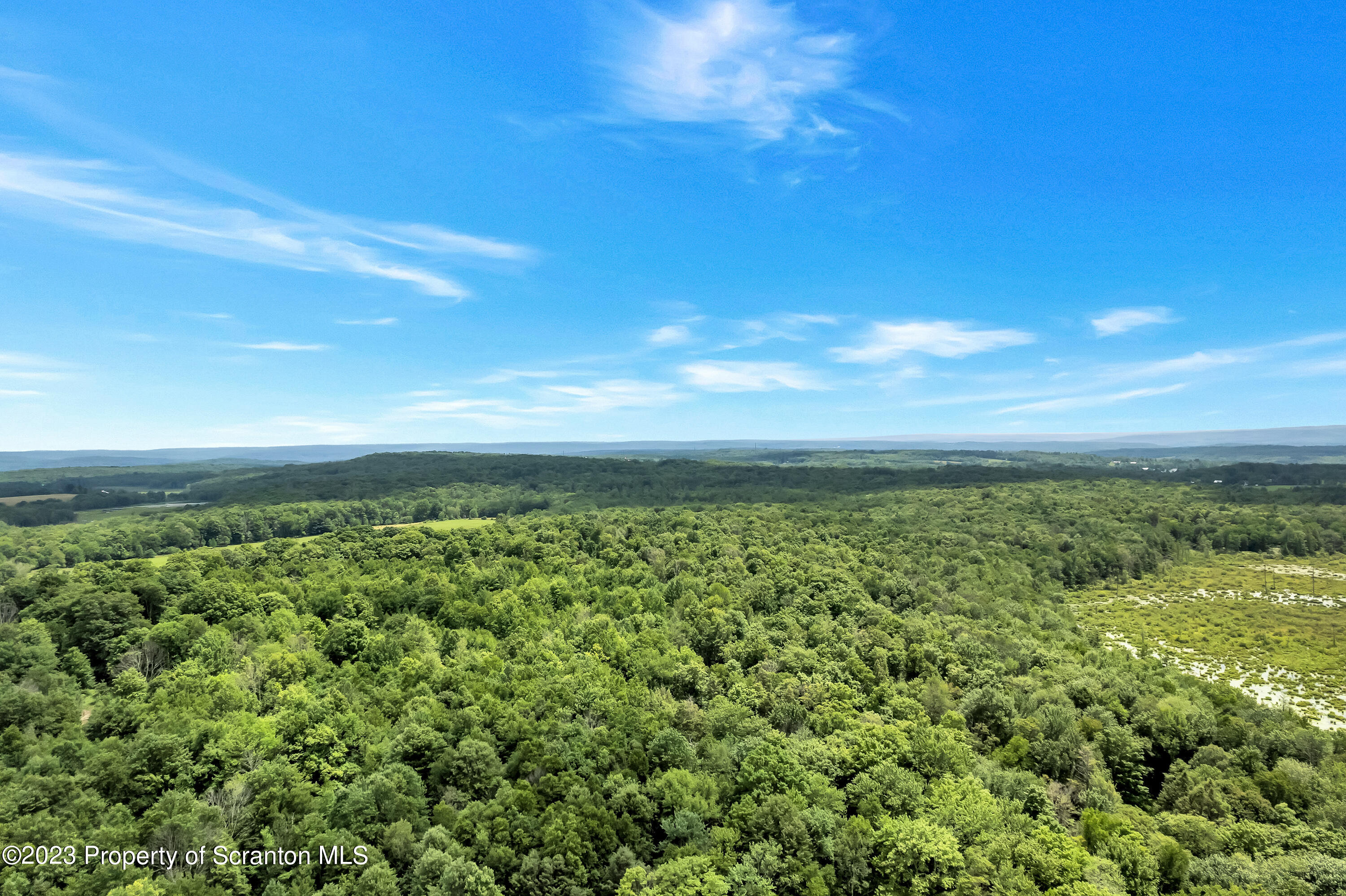 0 Wallace Road Lake Ariel, PA 18436 - Photo 13 of 26 a view of yard with ocean view