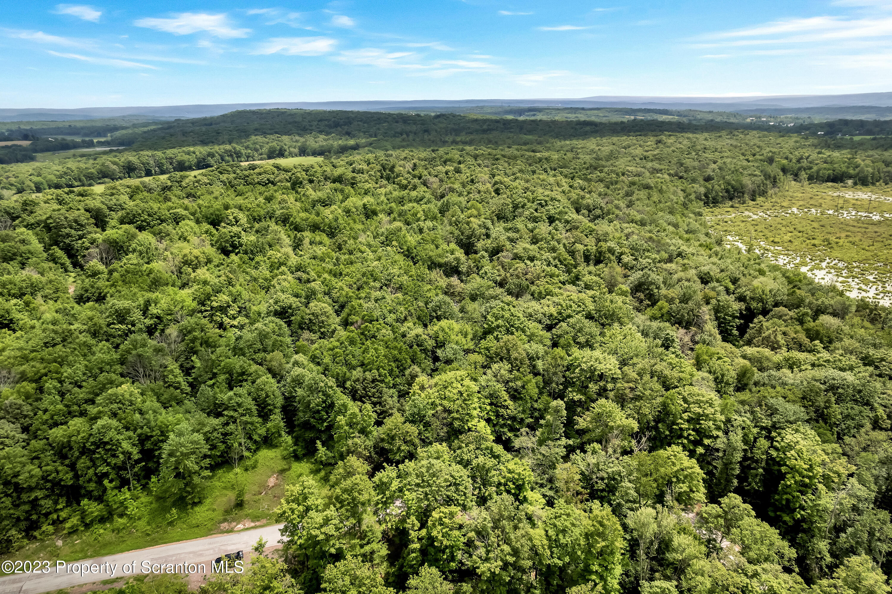 0 Wallace Road Lake Ariel, PA 18436 - Photo 14 of 26 a view of a yard with an outdoor space