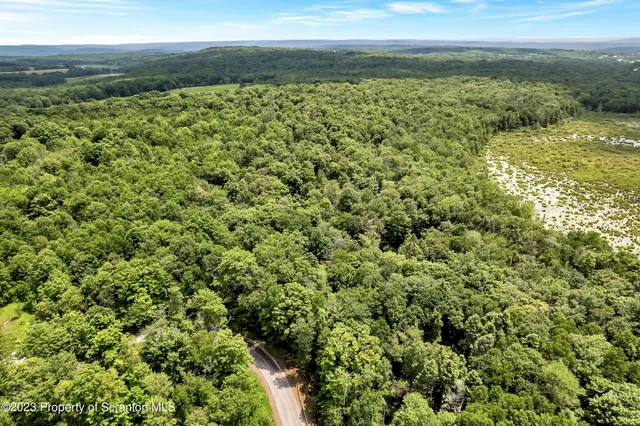 a view of street with green space