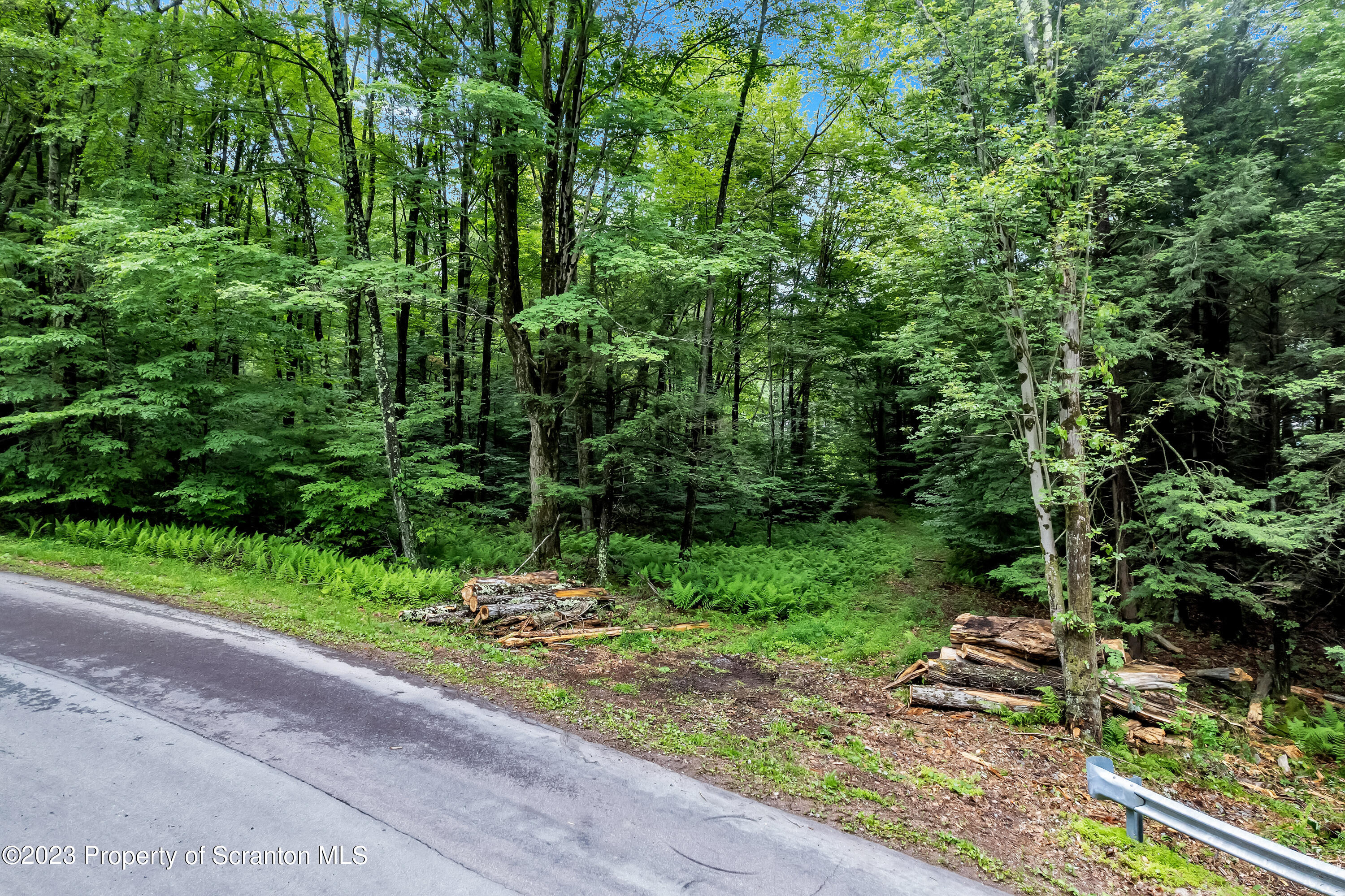 0 Wallace Road Lake Ariel, PA 18436 - Photo 17 of 26 a view of a garden
