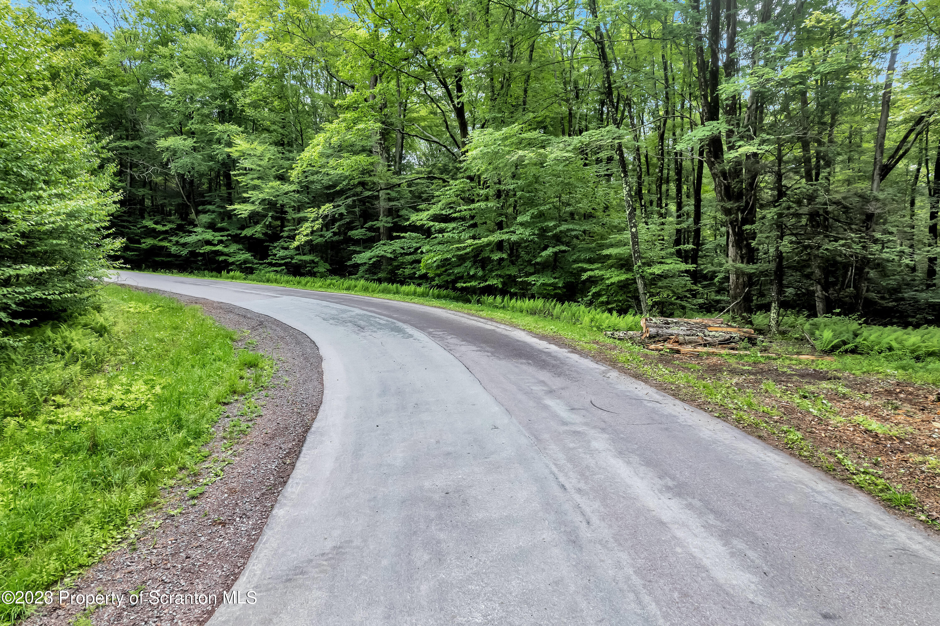 0 Wallace Road Lake Ariel, PA 18436 - Photo 18 of 26 a view of a backyard