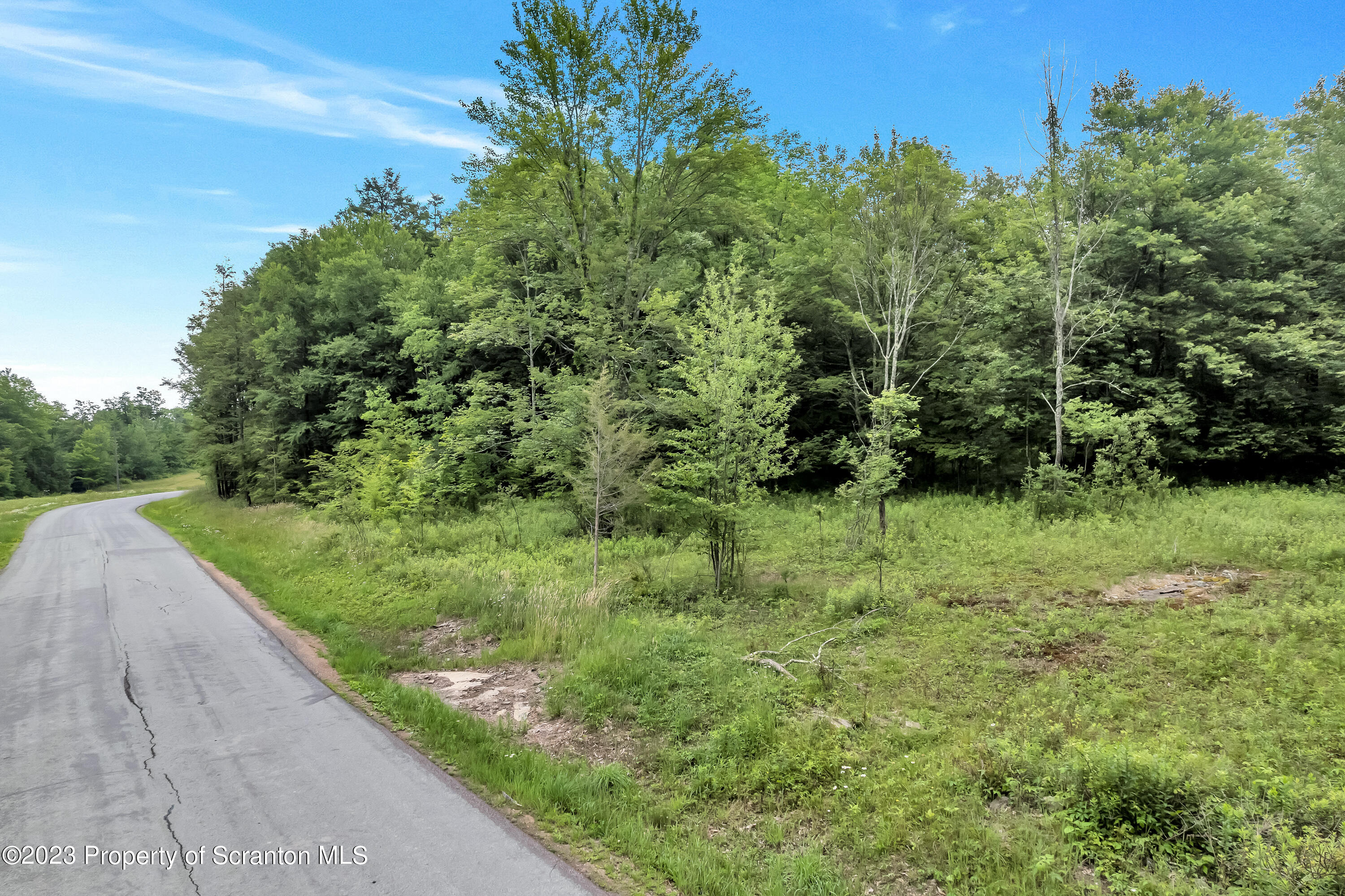 0 Wallace Road Lake Ariel, PA 18436 - Photo 19 of 26 a view of a garden