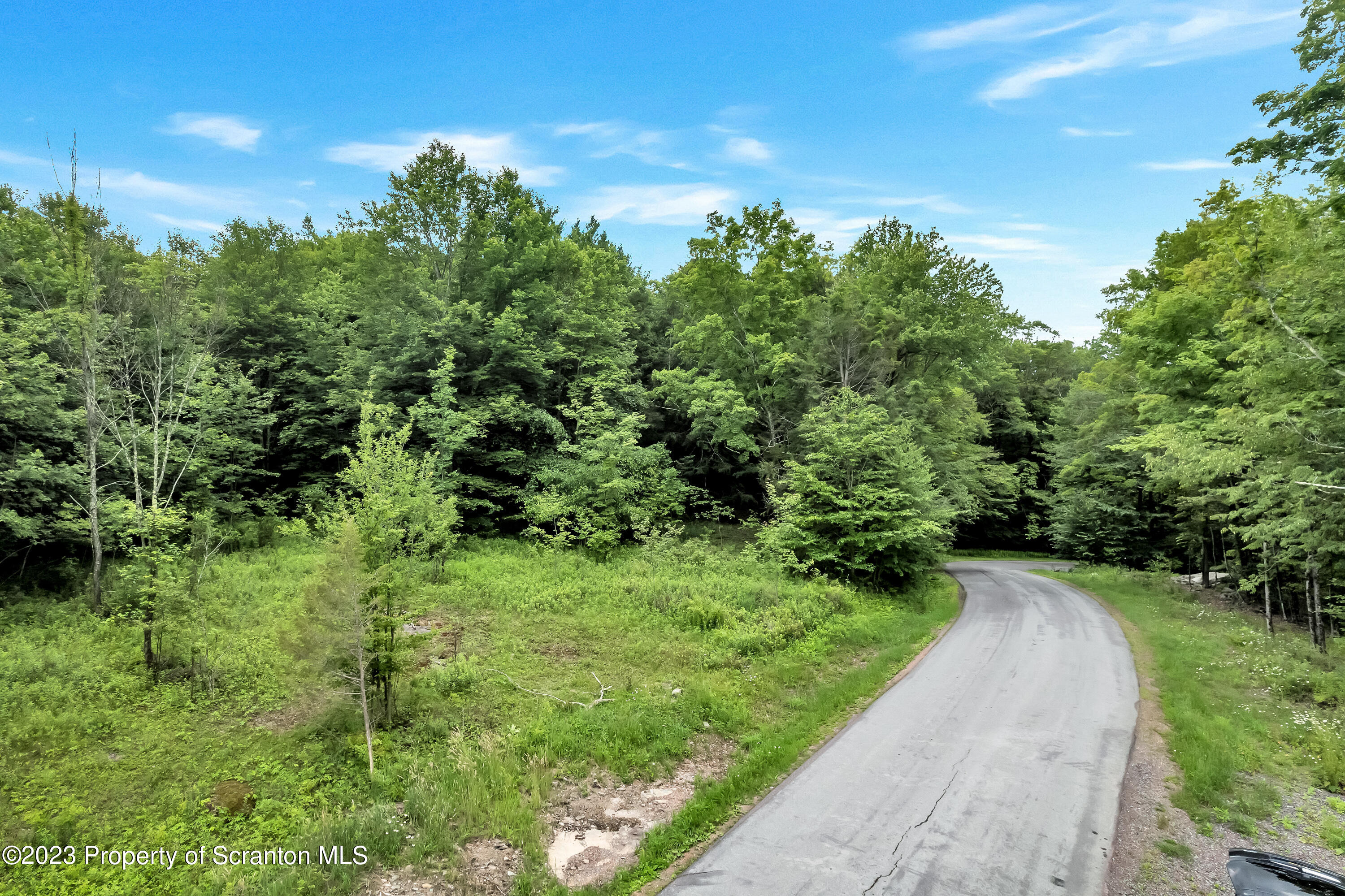 0 Wallace Road Lake Ariel, PA 18436 - Photo 20 of 26 a view of a garden with plants