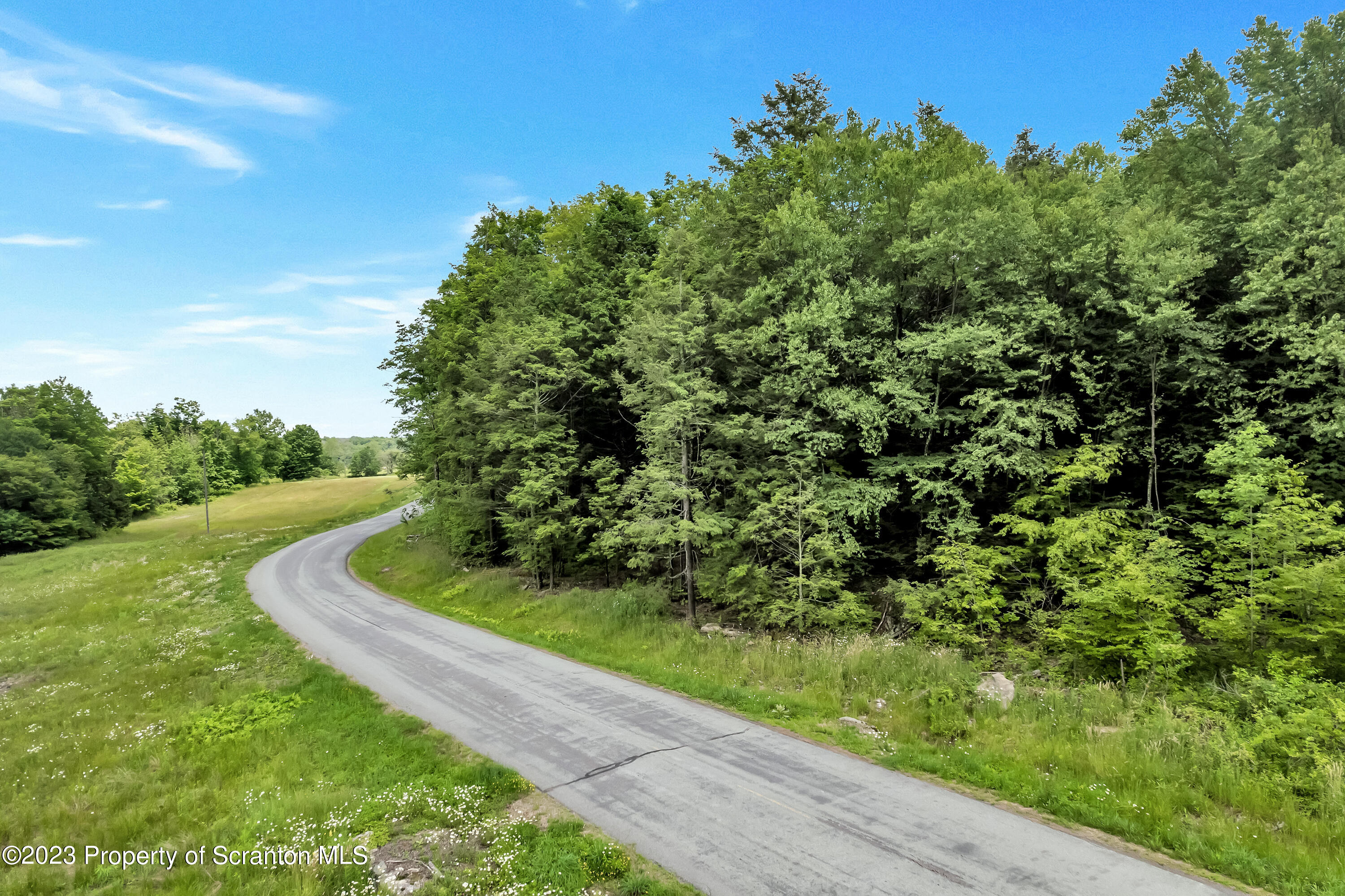 0 Wallace Road Lake Ariel, PA 18436 - Photo 21 of 26 a view of a garden with a bench