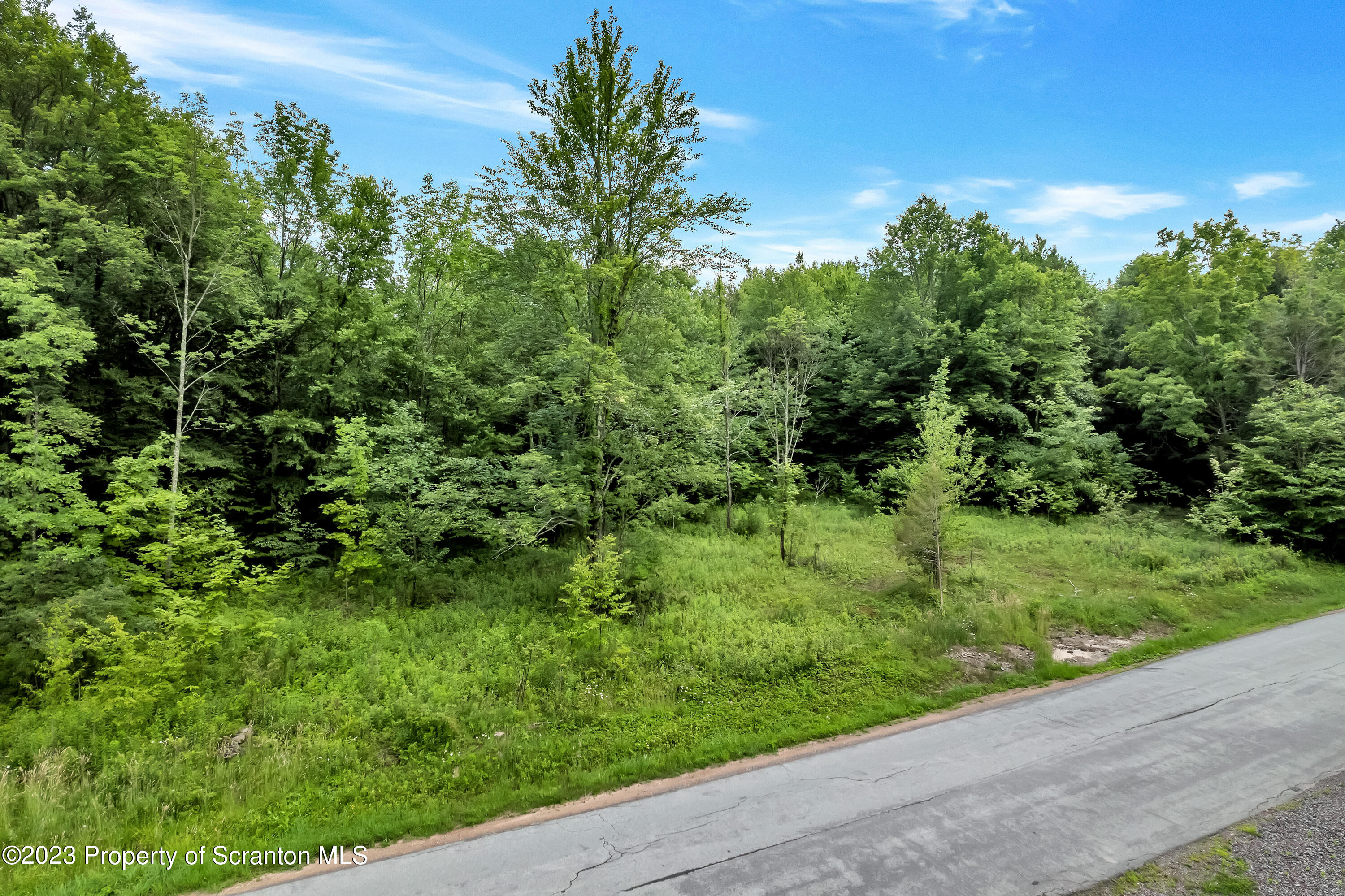 0 Wallace Road Lake Ariel, PA 18436 - Photo 22 of 26