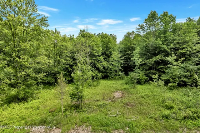 a view of an outdoor space