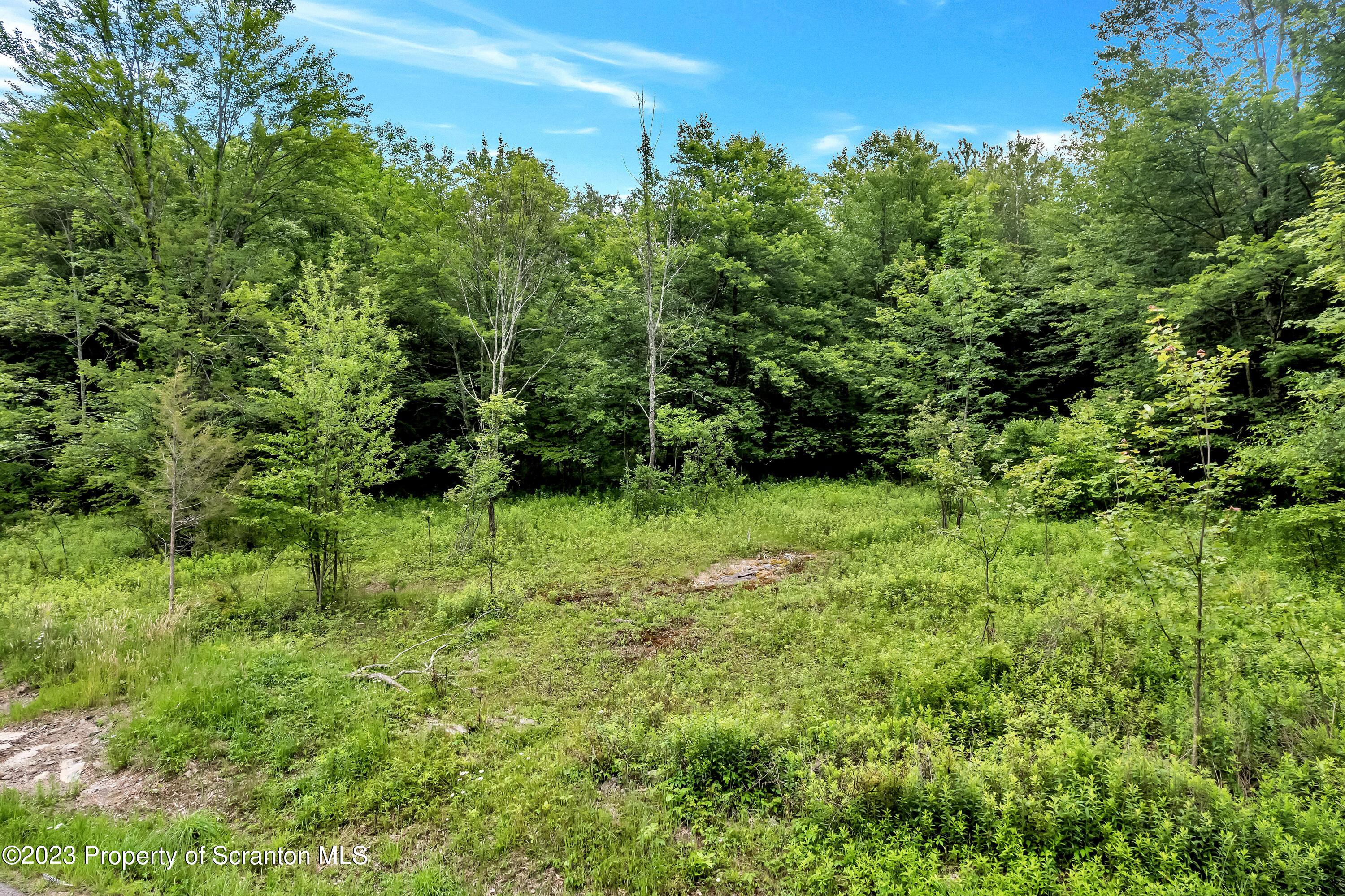0 Wallace Road Lake Ariel, PA 18436 - Photo 24 of 26 a view of a lush green space