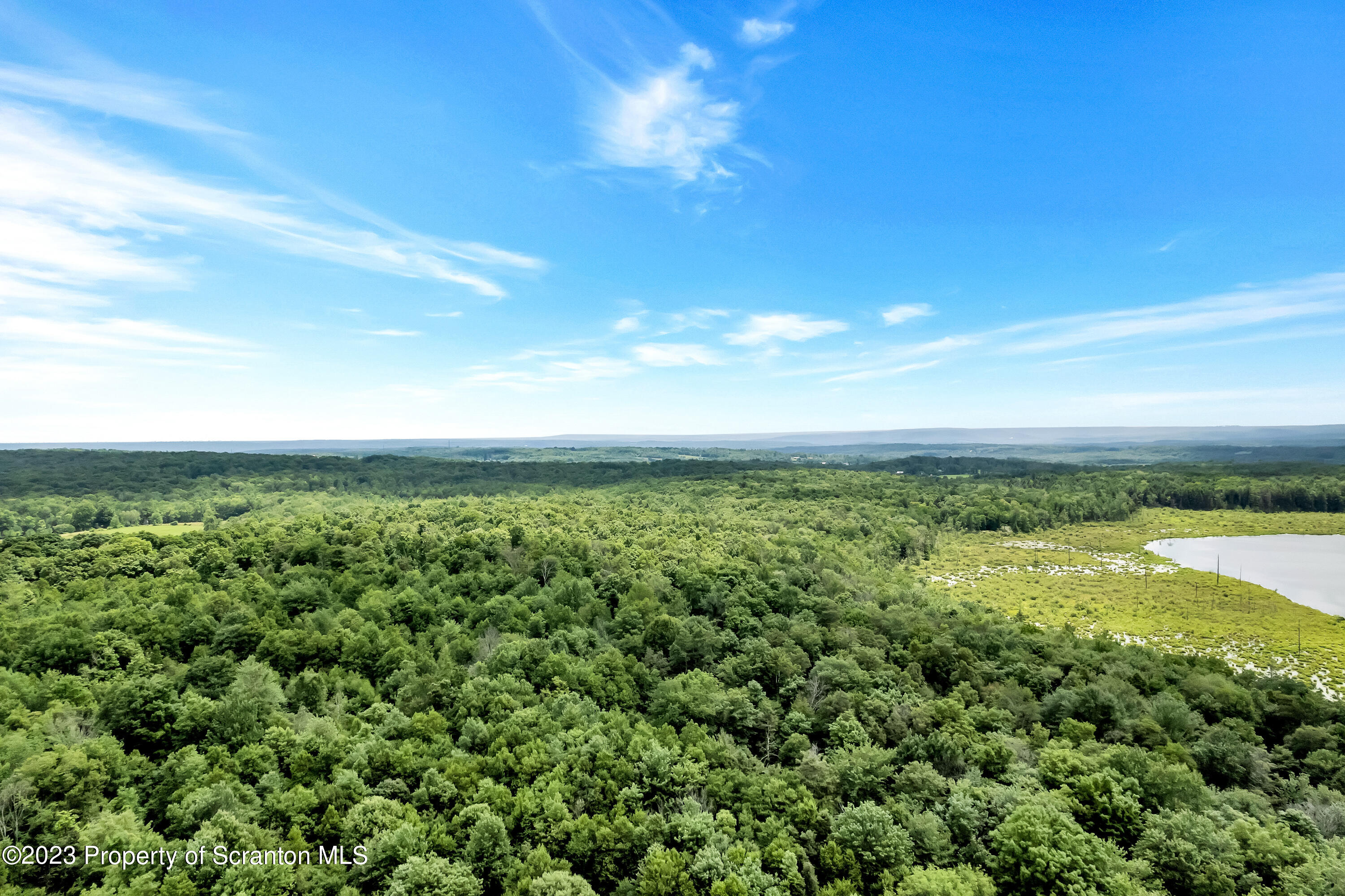 0 Wallace Road Lake Ariel, PA 18436 - Photo 5 of 26 a view of a yard and an ocean
