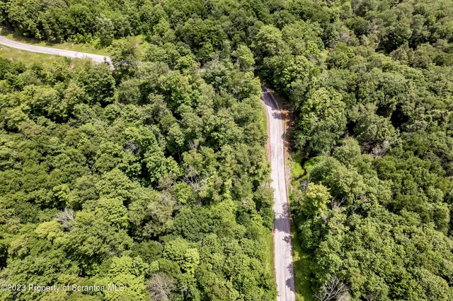 a view of a large yard with lots of bushes