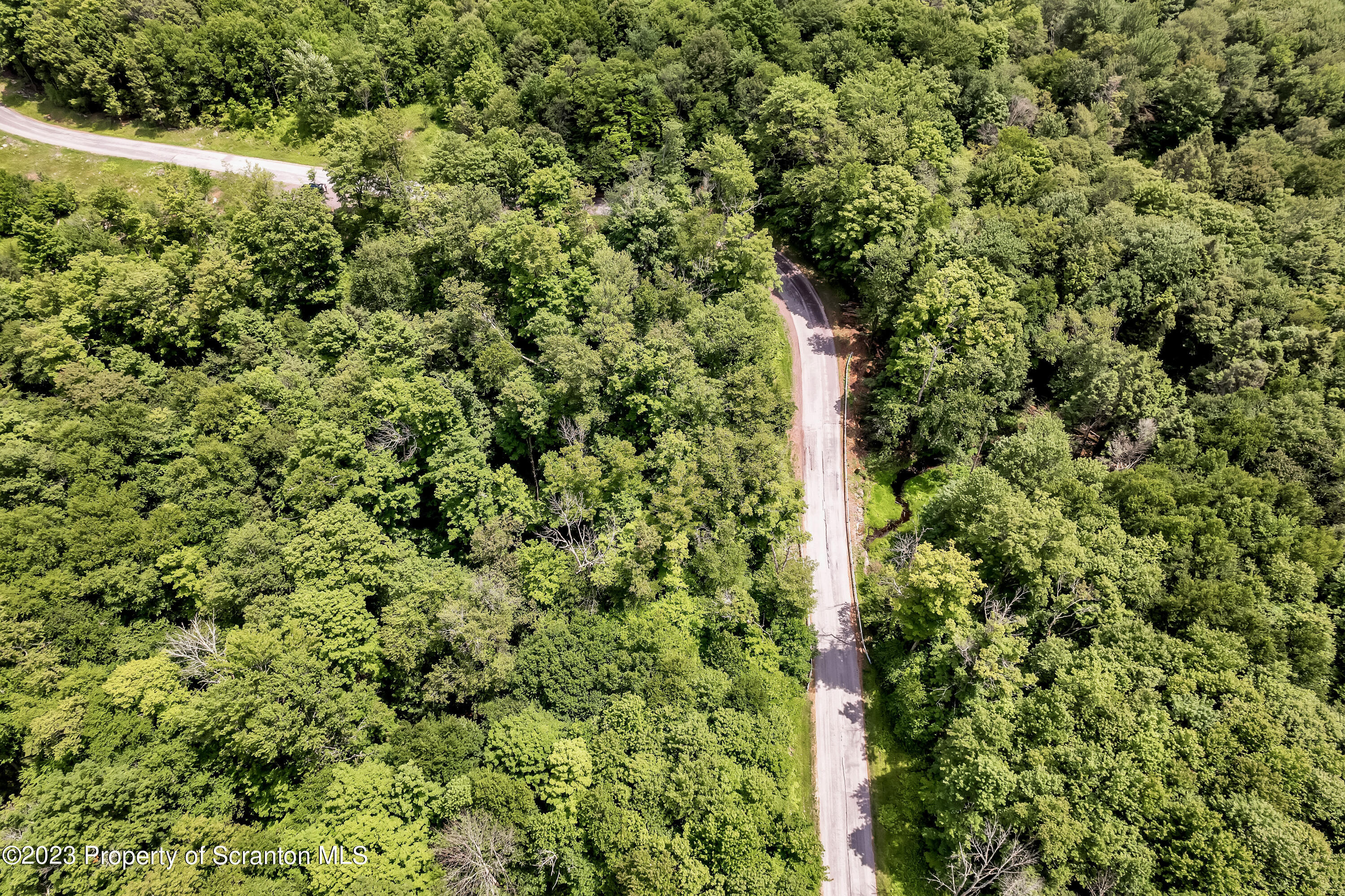 0 Wallace Road Lake Ariel, PA 18436 - Photo 7 of 26 a view of a forest with a tree