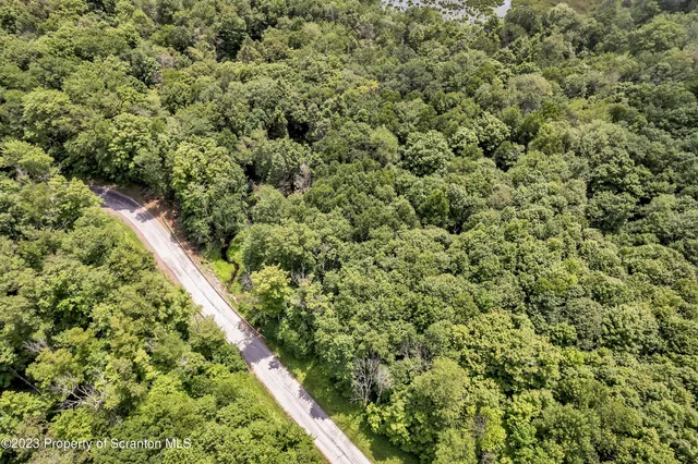 a view of a green field with lots of bushes