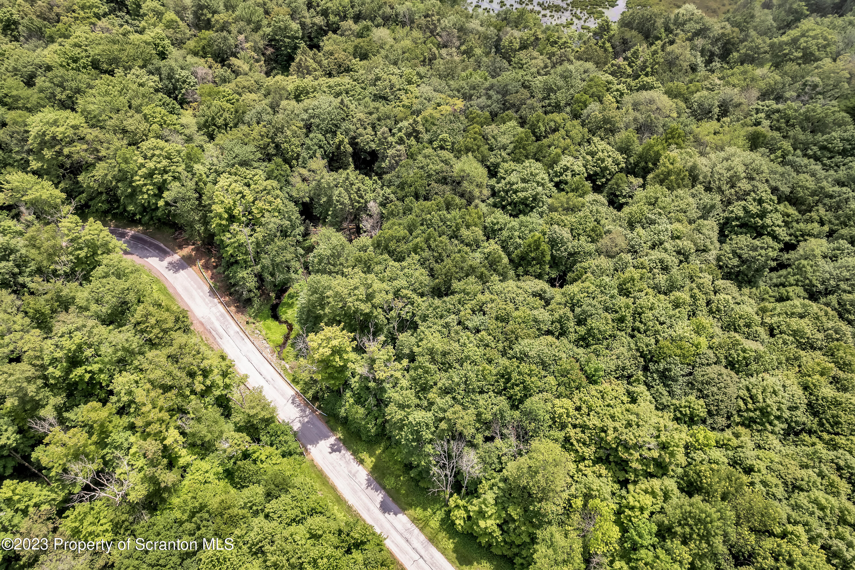 0 Wallace Road Lake Ariel, PA 18436 - Photo 8 of 26 a view of a large yard with lots of bushes