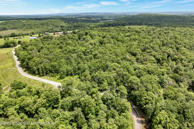 a view of a forest with a street