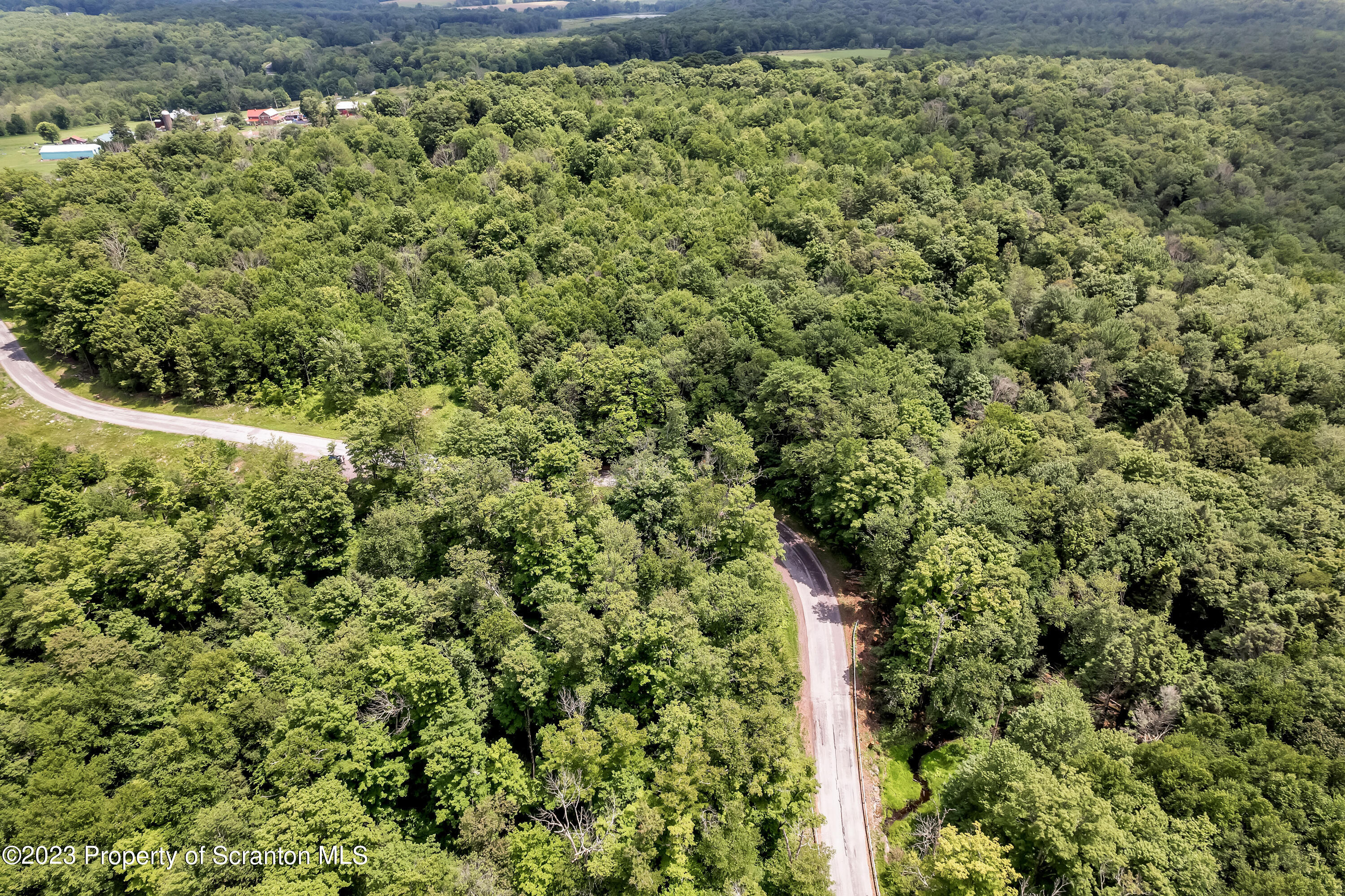 0 Wallace Road Lake Ariel, PA 18436 - Photo 10 of 26 a view of a forest with a street