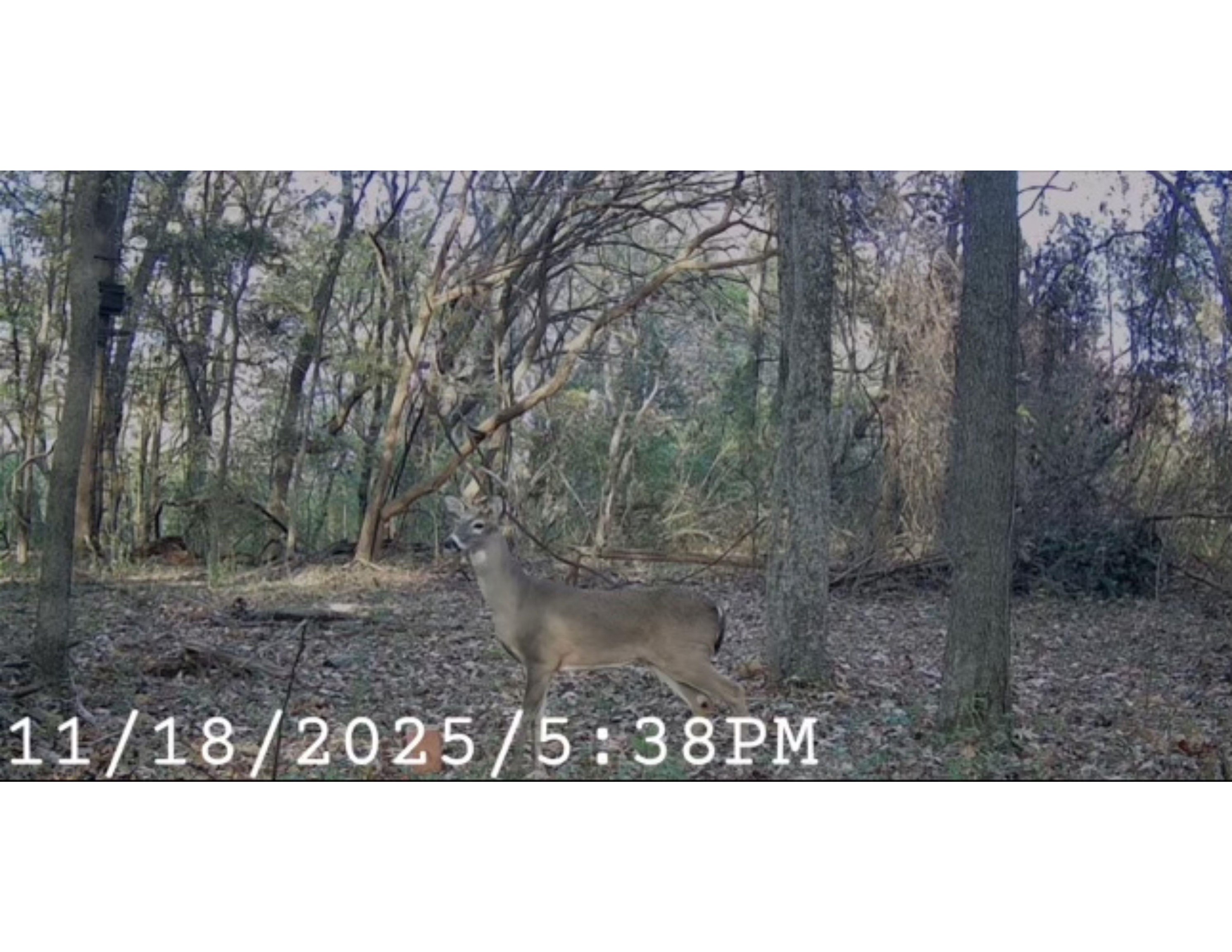 5088 South Germantown Road, Unit 2 Memphis, TN 38141 - Photo 14 of 17