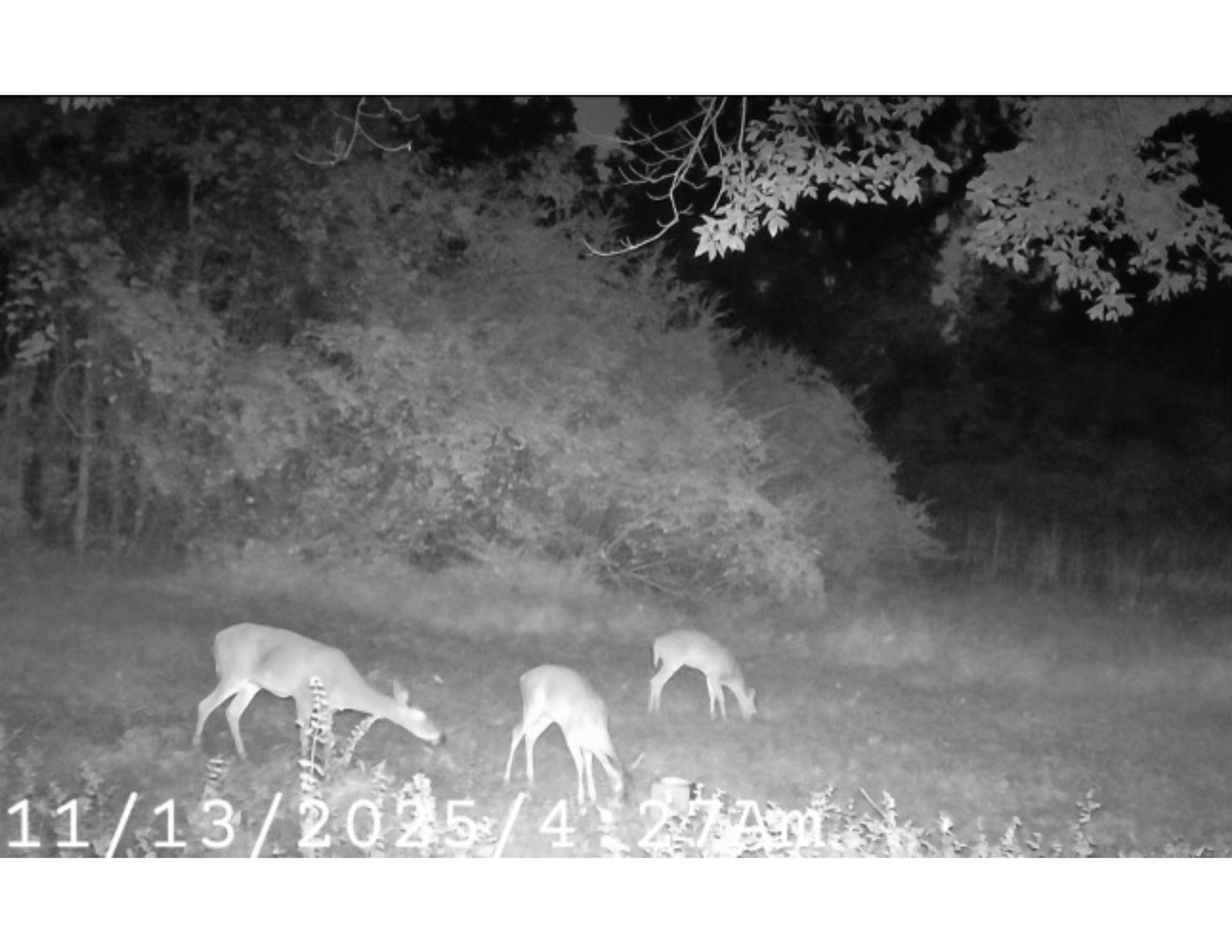 5088 South Germantown Road, Unit 2 Memphis, TN 38141 - Photo 15 of 17