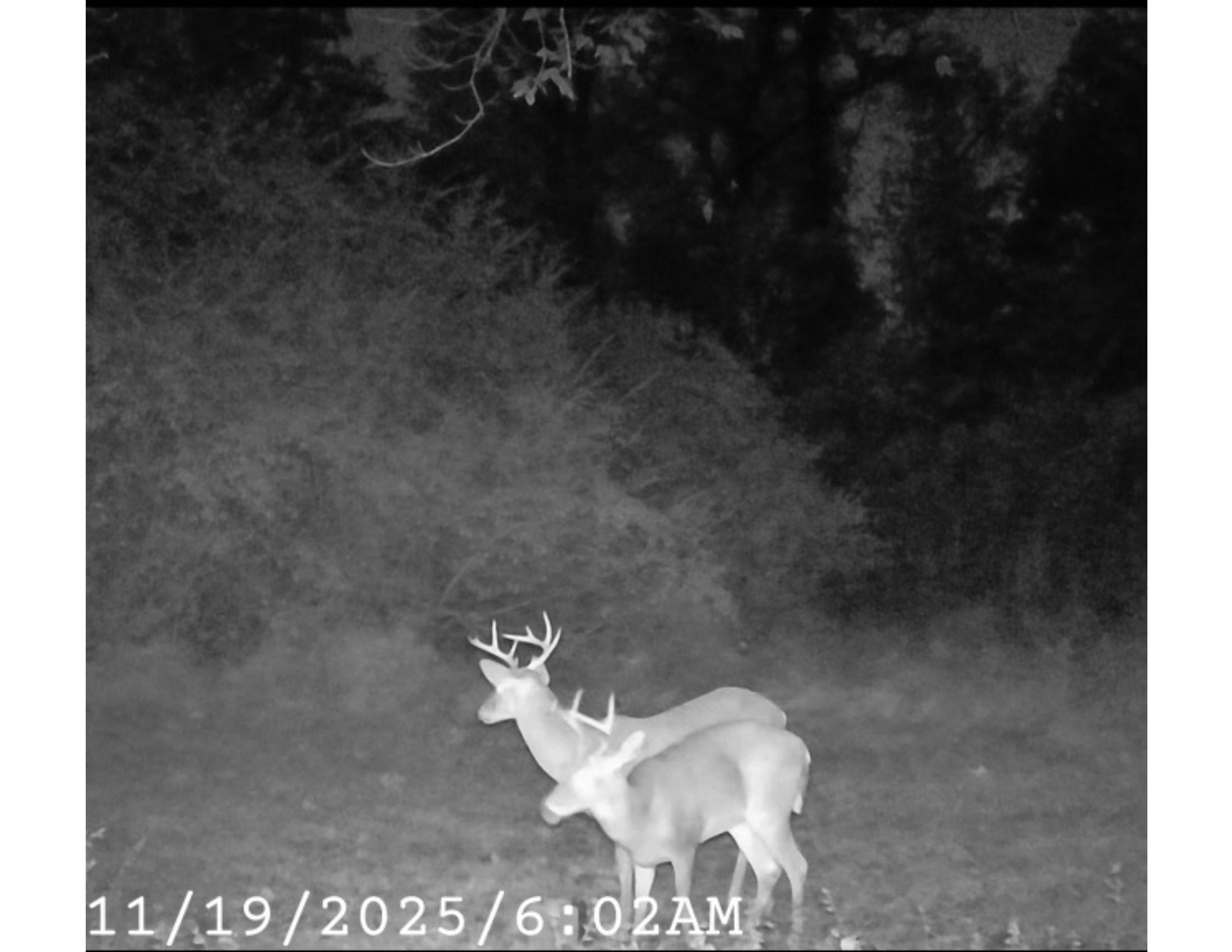 5088 South Germantown Road, Unit 2 Memphis, TN 38141 - Photo 16 of 17