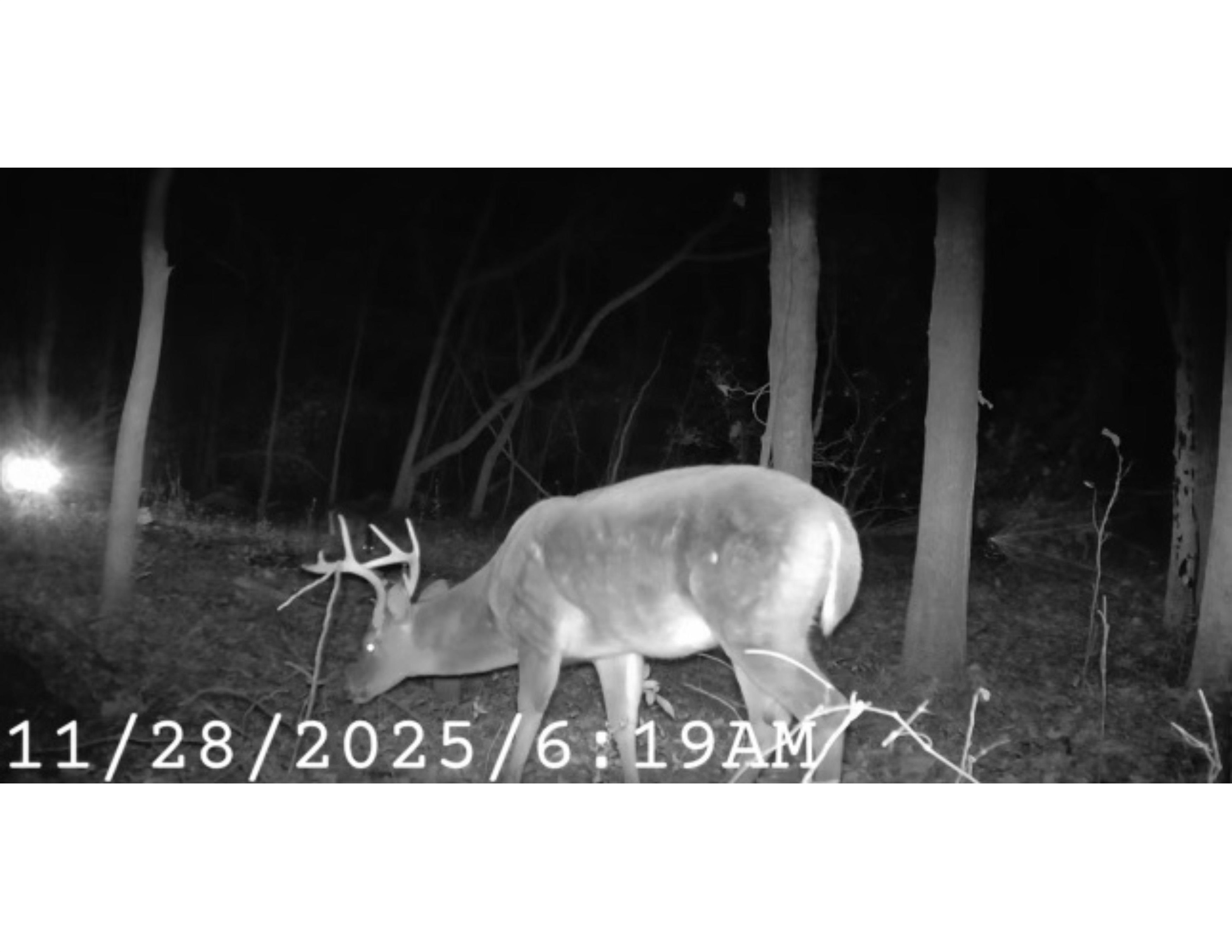 5088 South Germantown Road, Unit 2 Memphis, TN 38141 - Photo 17 of 17