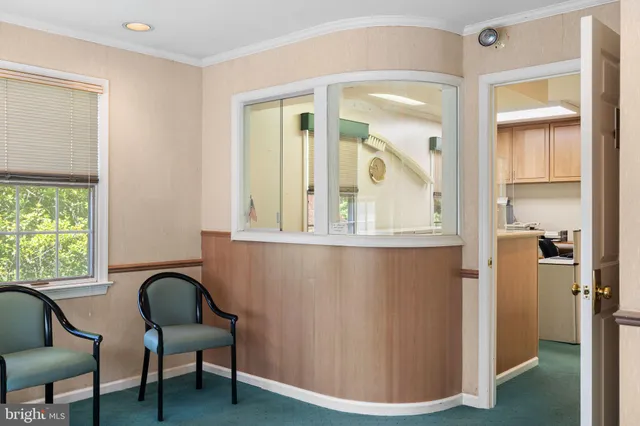 a view of a tree with a yard