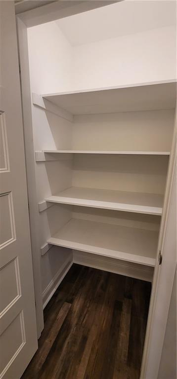 123 Ridge Crest Court Ellijay, GA 30540 - Photo 17 of 34 a close view of closet
