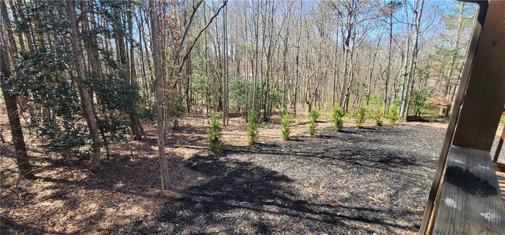 123 Ridge Crest Court Ellijay, GA 30540 - Photo 4 of 34