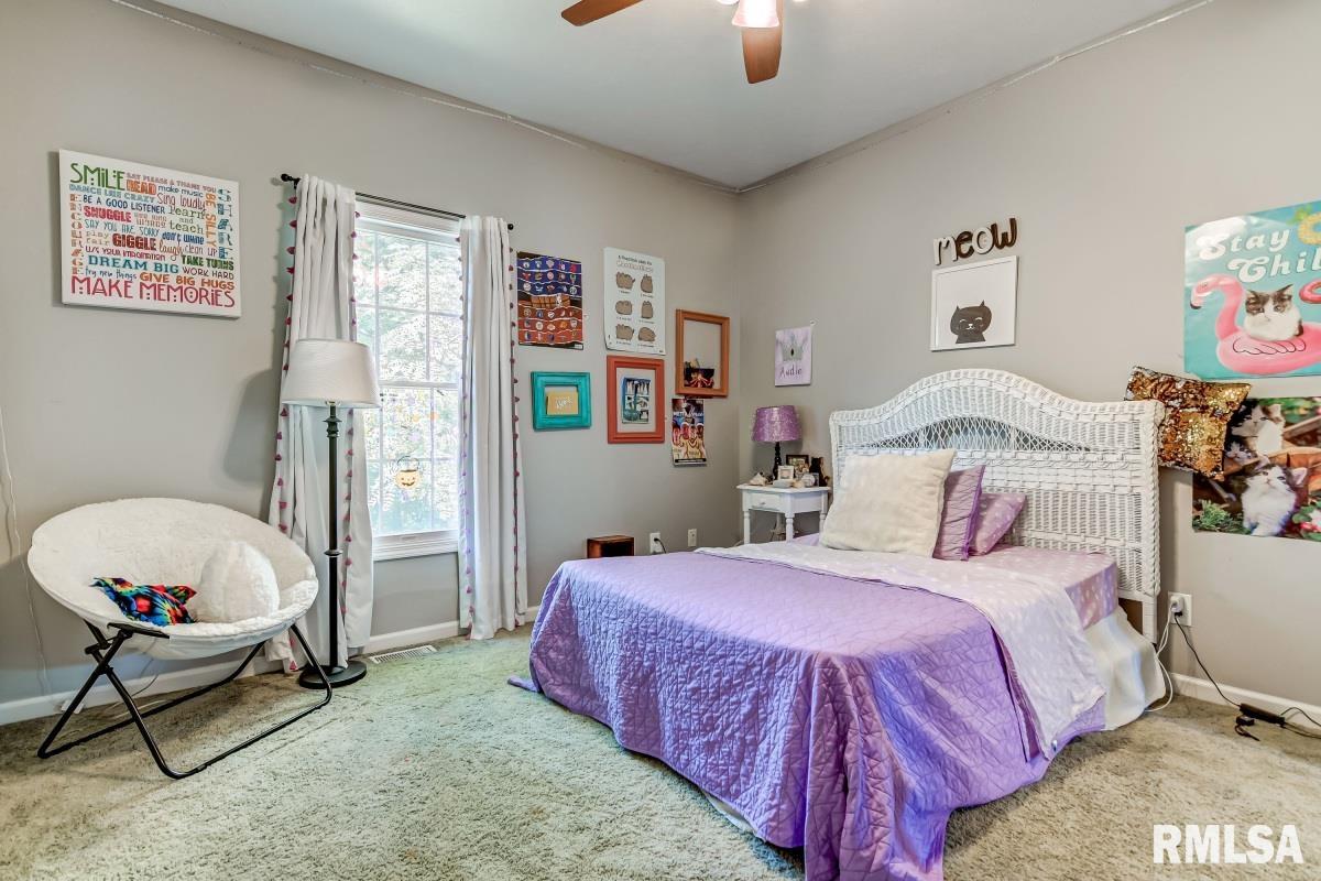 4219 Osage Road Springfield, IL 62711 - Photo 25 of 45